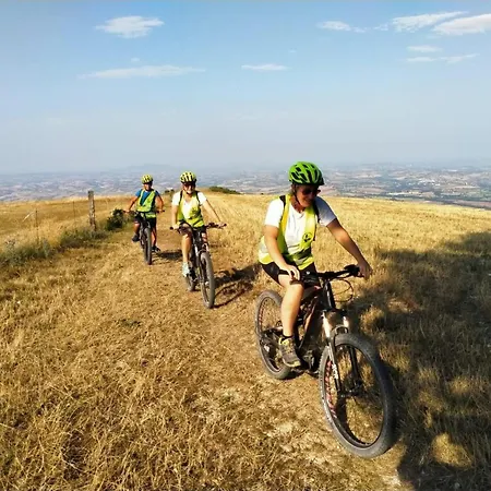 Manor In Marche With Pool & Adriatic Views Монсано