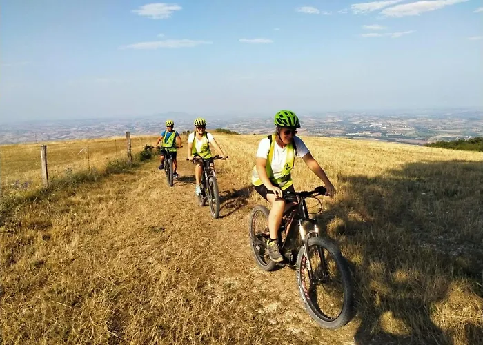 Manor In Marche With Pool & Adriatic Views مونسانو